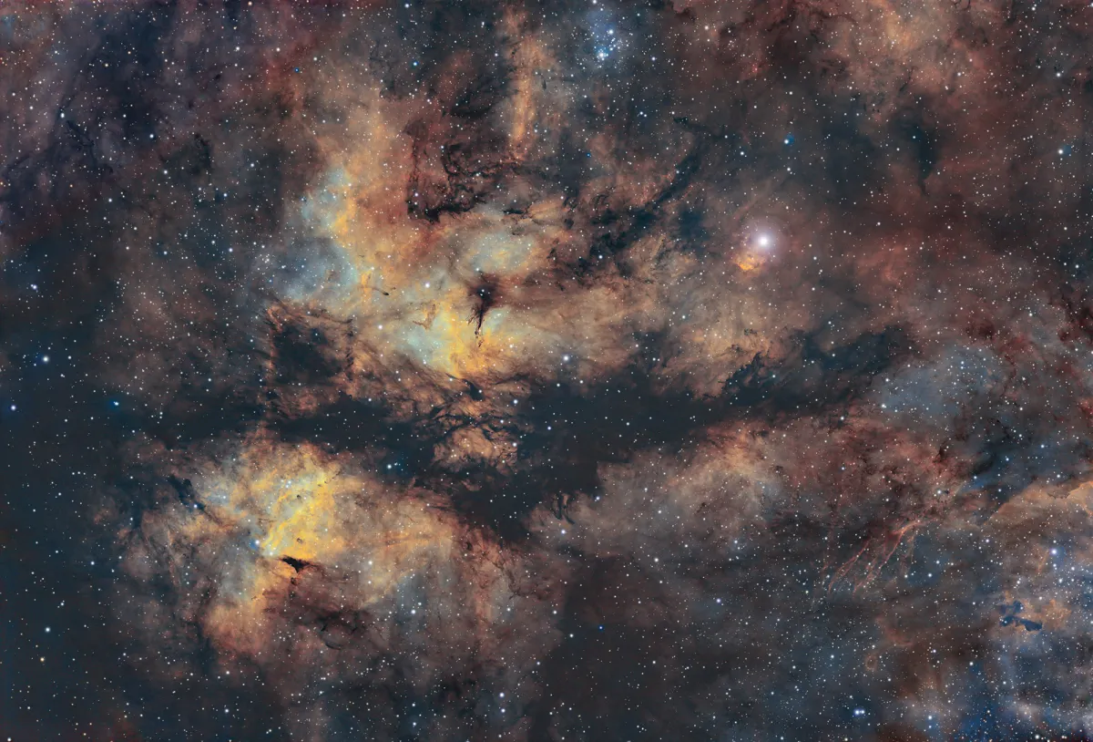 IC 1318 & NGC 6910
