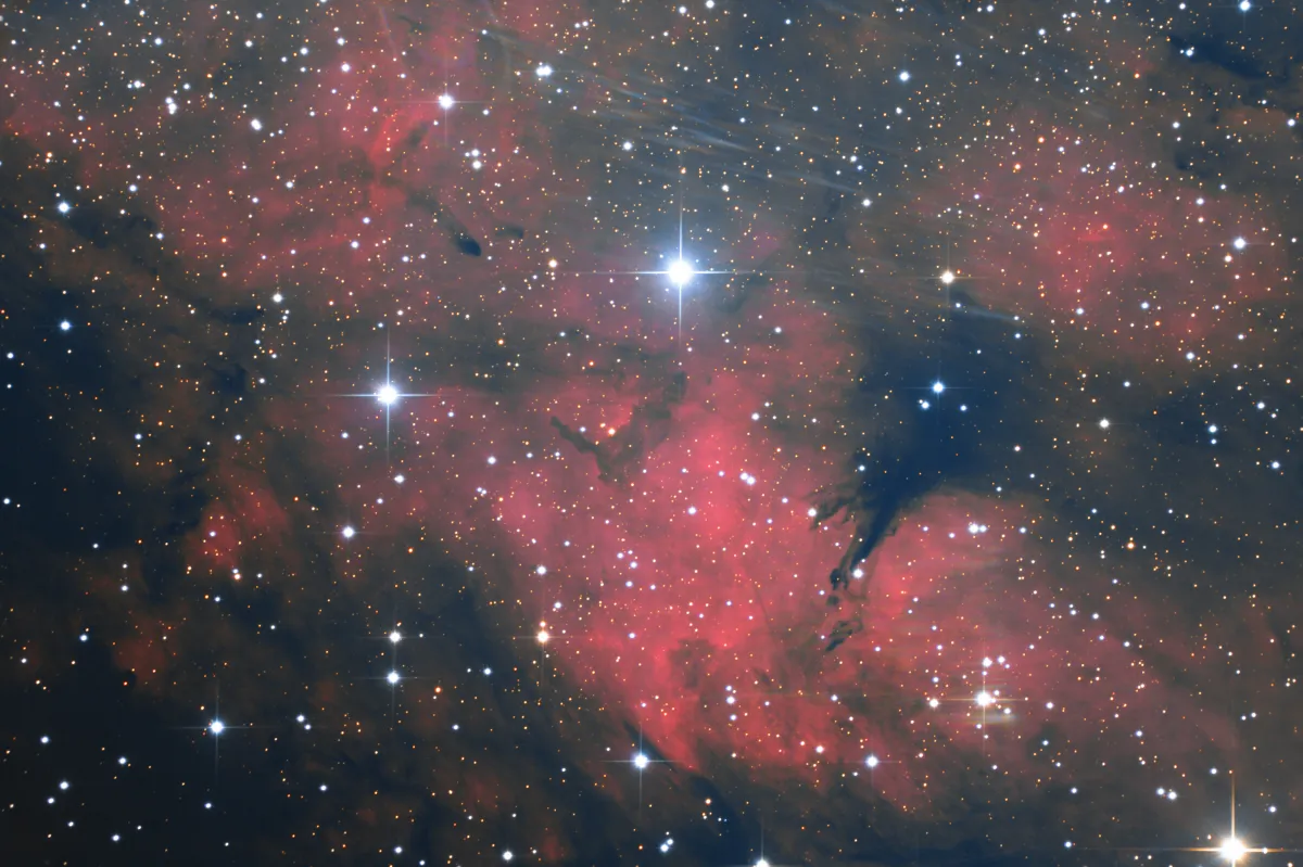 IC 1318