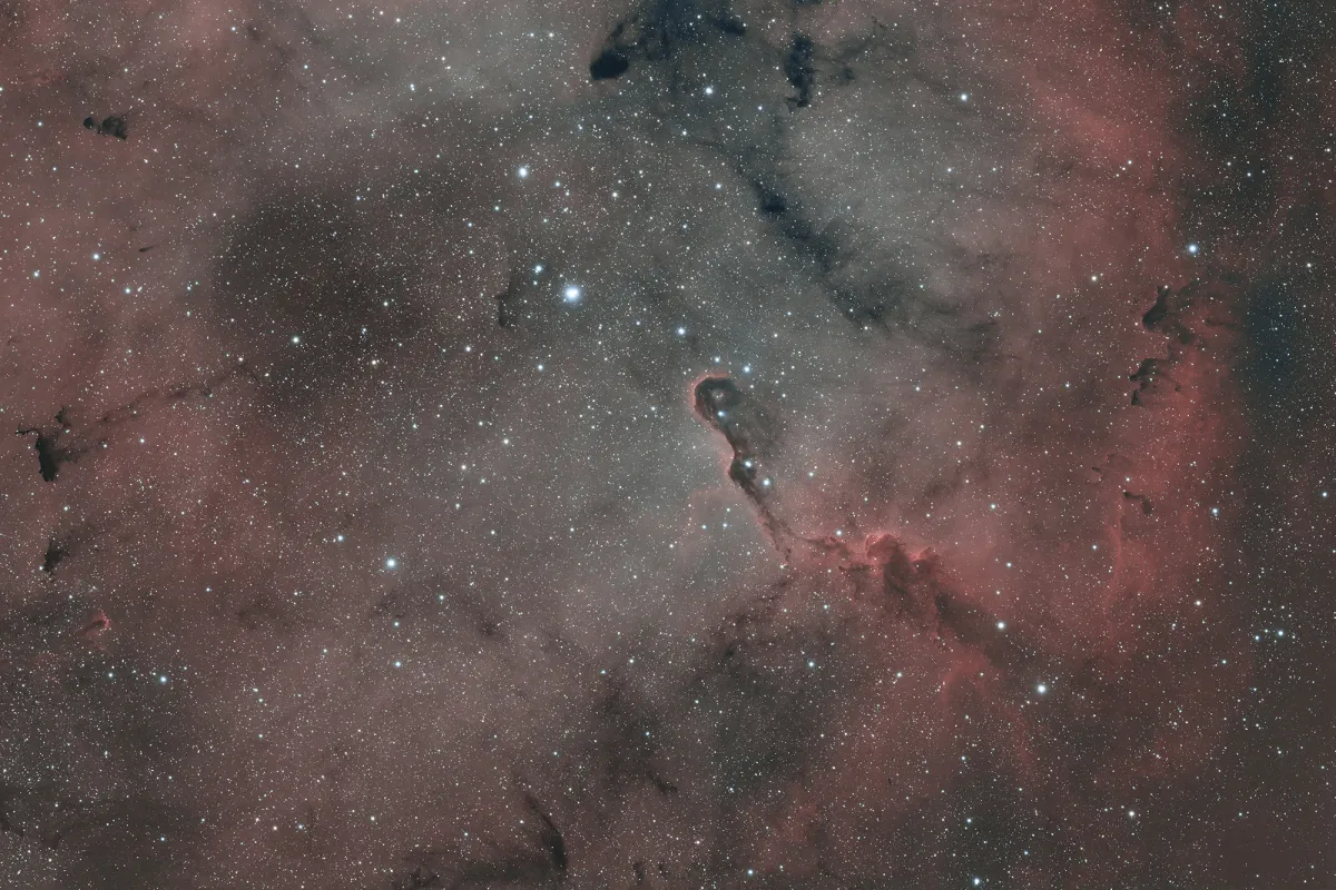 IC 1396