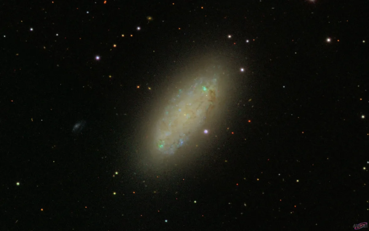 NGC 2976