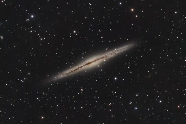 NGC 891