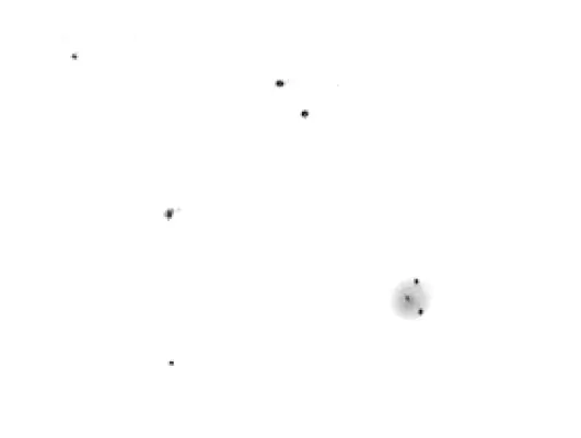 G 1 in M 31