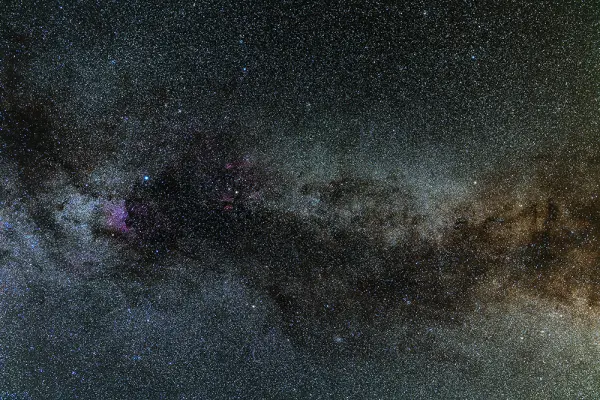 Cygnus