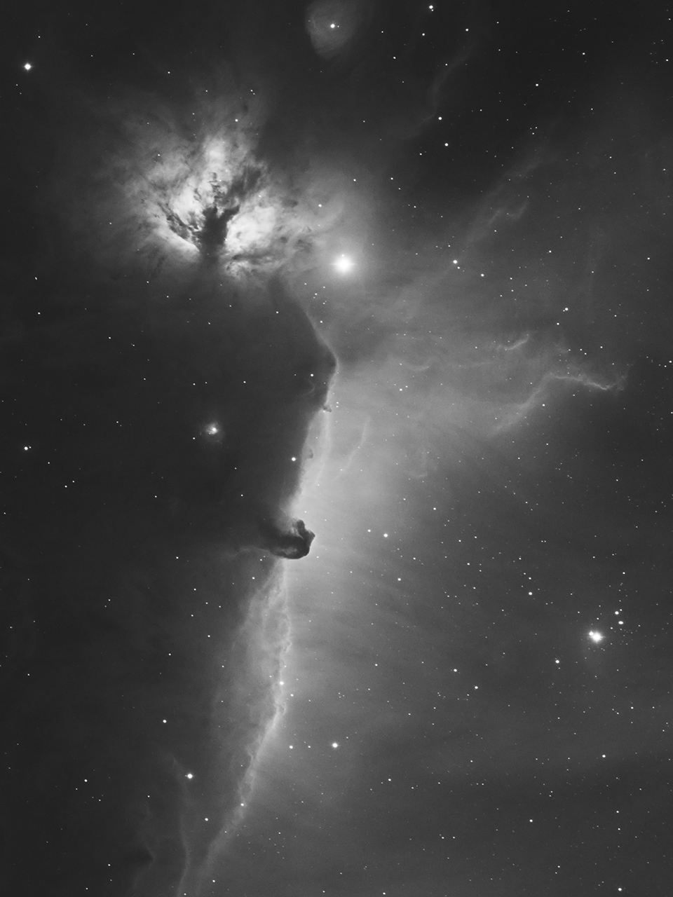 B 33, IC 443, NGC 2024