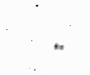 NGC 2371/2